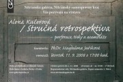 Alena Kučerová / Stručná retrospektiva – perforace, tisky a asambláže
